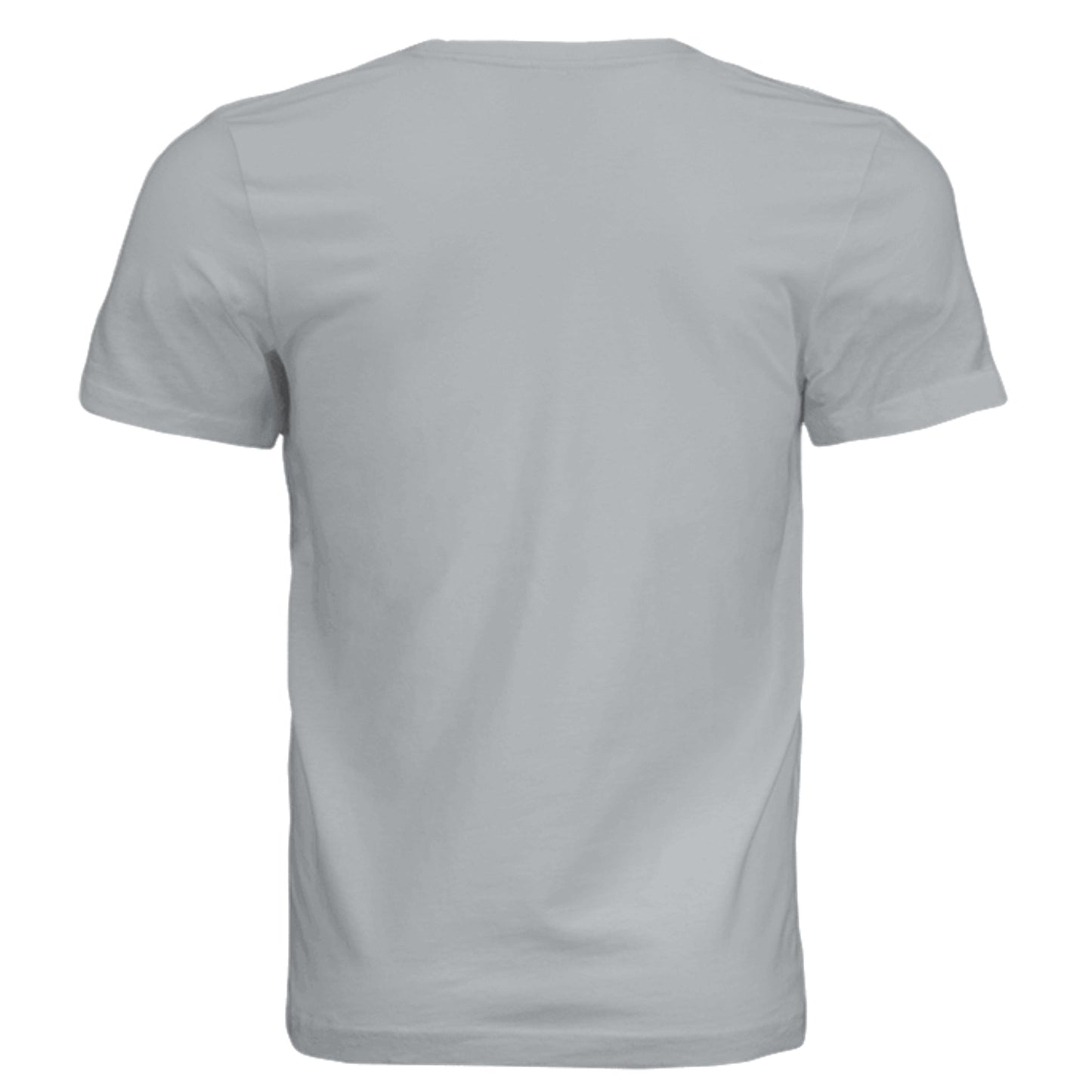 Solid Silver Triblend - 3413C - BACK
