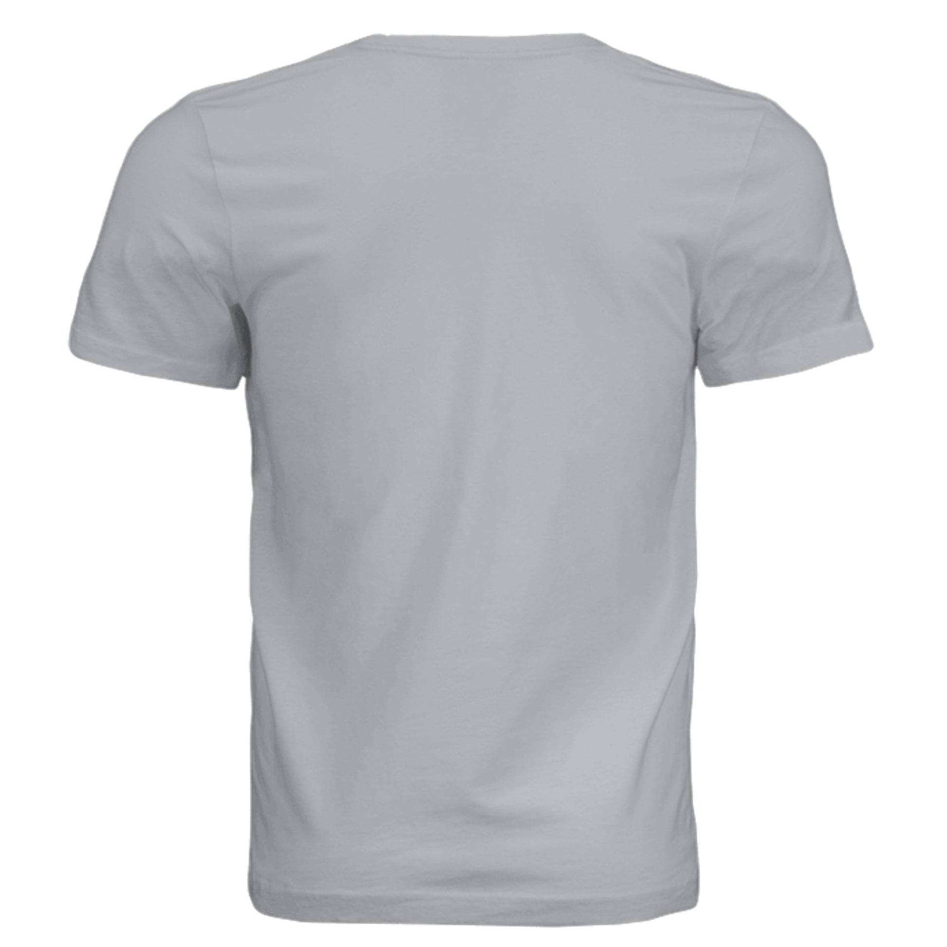 Solid Silver Triblend - 3413C - BACK